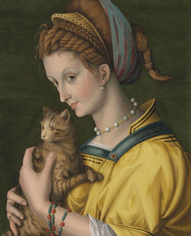 Portrait of a young lady holding a cat by Francesco Bacchiacca