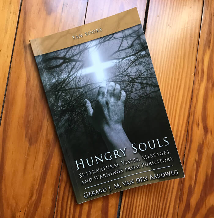 Hungry Souls by Dr. Gerard J. M. van den Aardweg